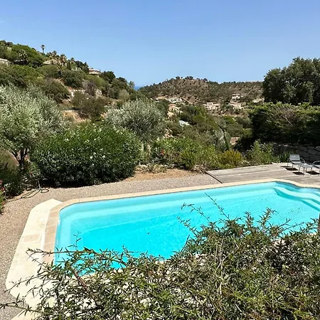فيلة Cassiopee *