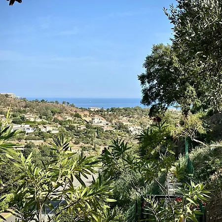 فيلة Cassiopee سانت ماكسيم
