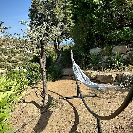 Cassiopee فيلة